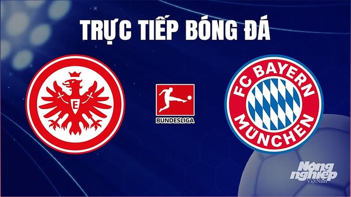 Xem trực tiếp Eintracht Frankfurt vs Bayern Munich - Bundesliga 2023/24 - 132545225