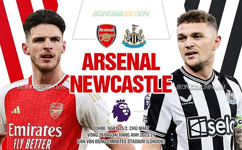 Arsenal hủy diệt Newcastle với chiến thắng đậm - 1393425599