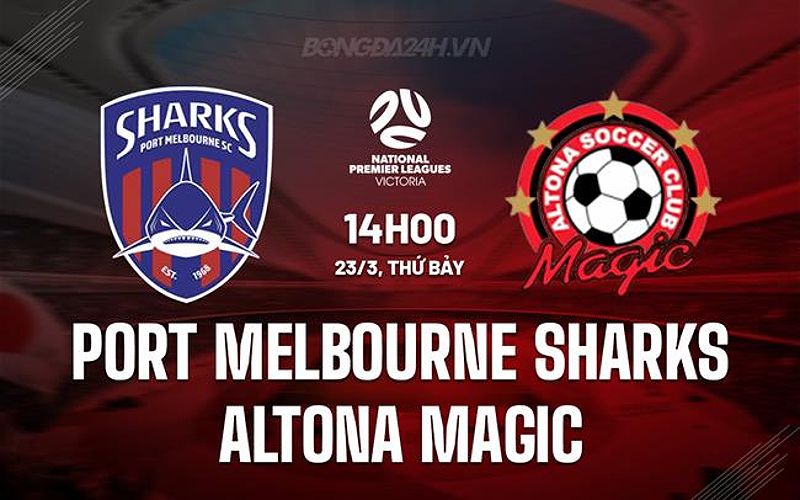 Nhận định Port Melbourne Sharks vs Altona Magic 14h00 ngày 23/3 (VĐ bang Victoria 2024) - -935637968