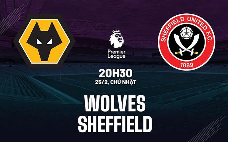 Nhận định trận đấu giữa Wolves và Sheffield: Wolves có lợi thế lớn hơn - 1292511634